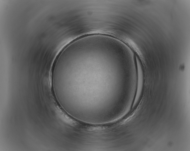 X0000091560892200708171323