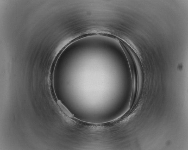 X0000091560893200708171323