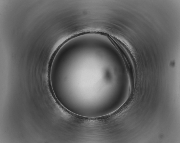 X0000091560894200708171323