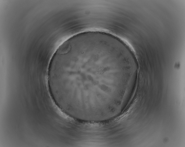 X0000091560895200708171323