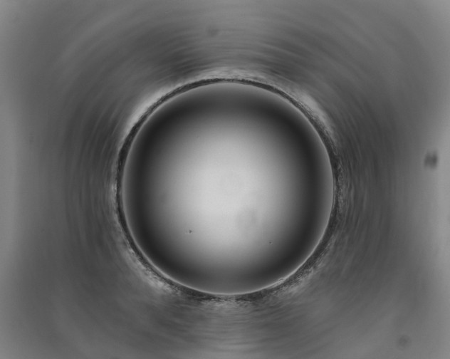 X0000091560896200708171323