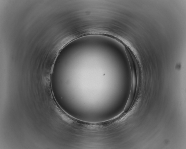 X0000091560897200708171323