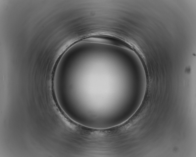 X0000091560898200708171323