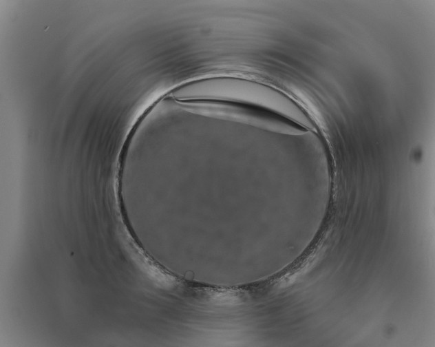 X0000091560899200708171323