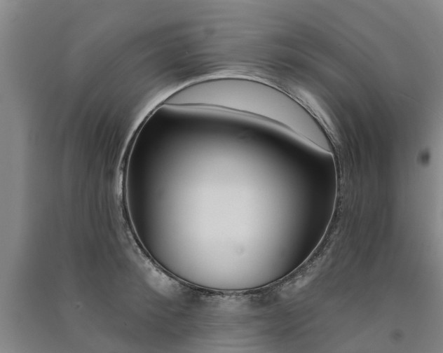 X0000091560900200708171323