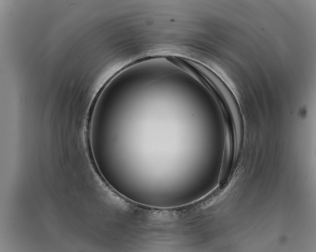 X0000091560901200708171323