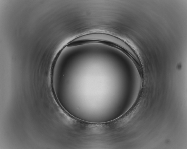 X0000091560902200708171323