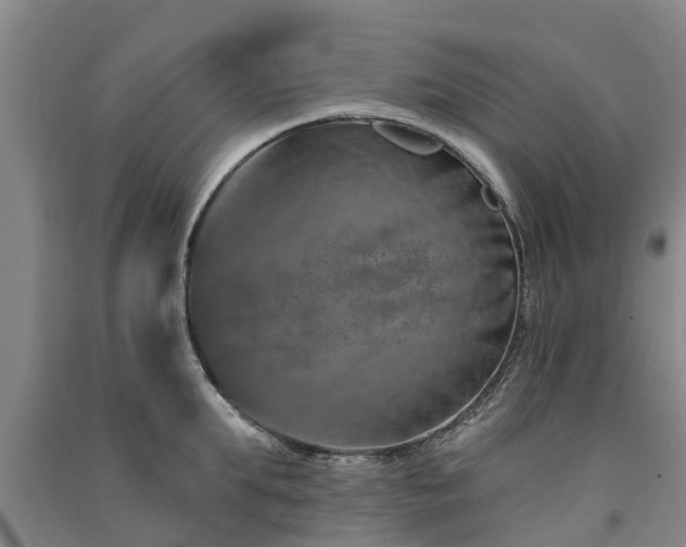 X0000091560903200708171323