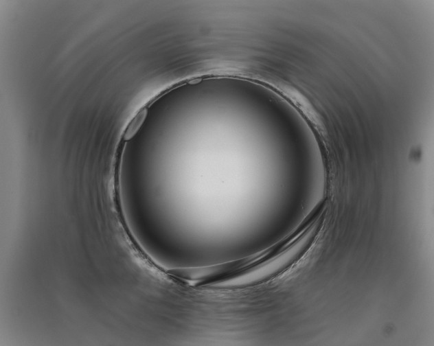 X0000091560904200708171323