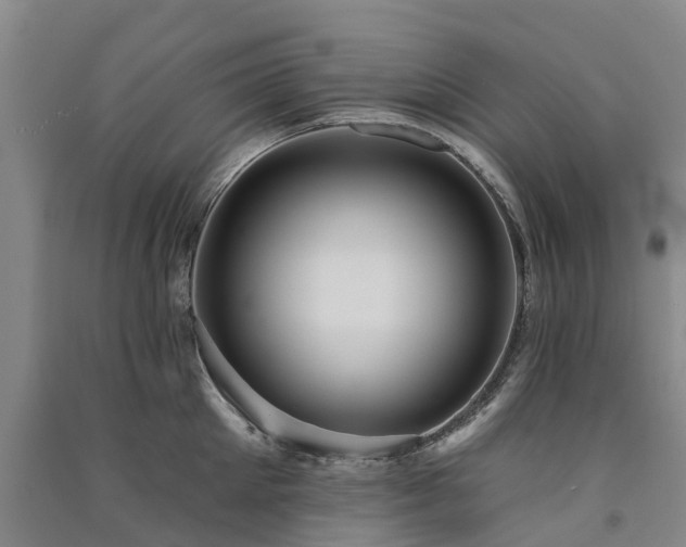 X0000091560905200708171323