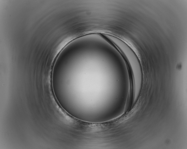 X0000091560906200708171323