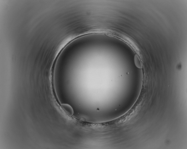 X0000091560907200708171323