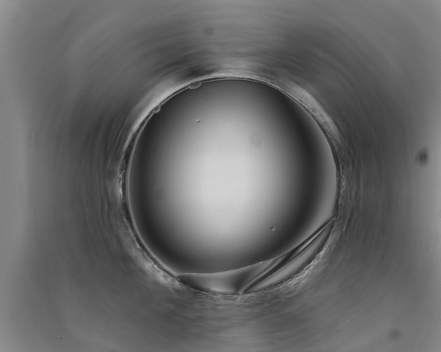 X0000091560908200708171323