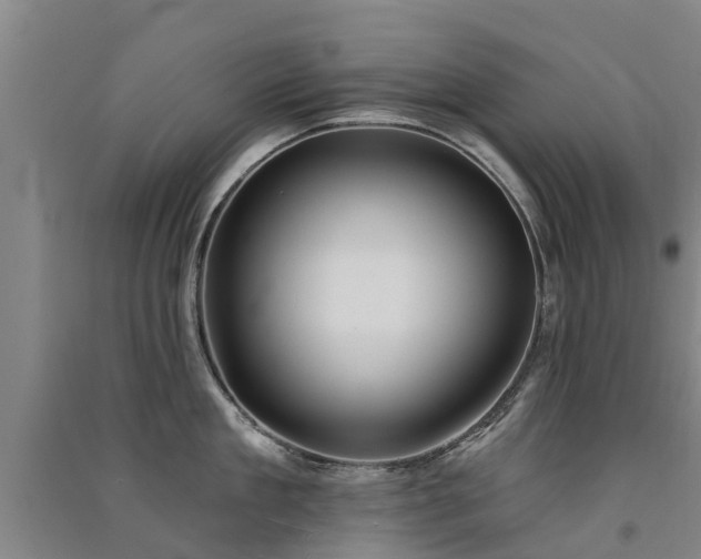 X0000091560909200708171323