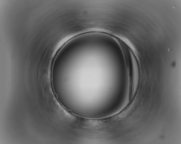 X0000091560910200708171323