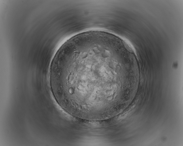 X0000091560911200708171323