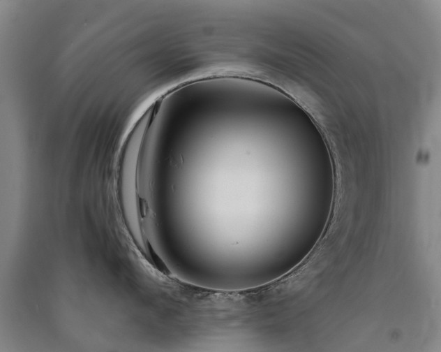 X0000091560912200708171323