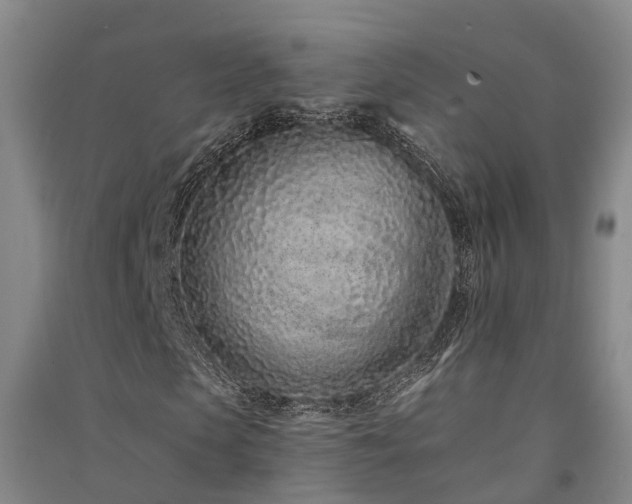 X0000091560913200708171322