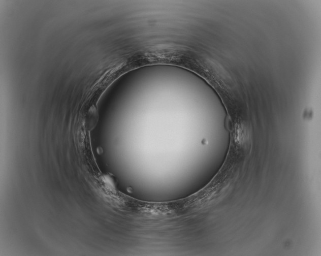 X0000091560915200708171322