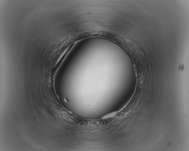 X0000091560916200708171322