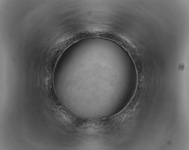 X0000091560917200708171322