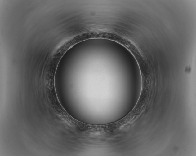 X0000091560919200708171322