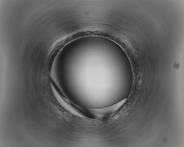 X0000091560920200708171322