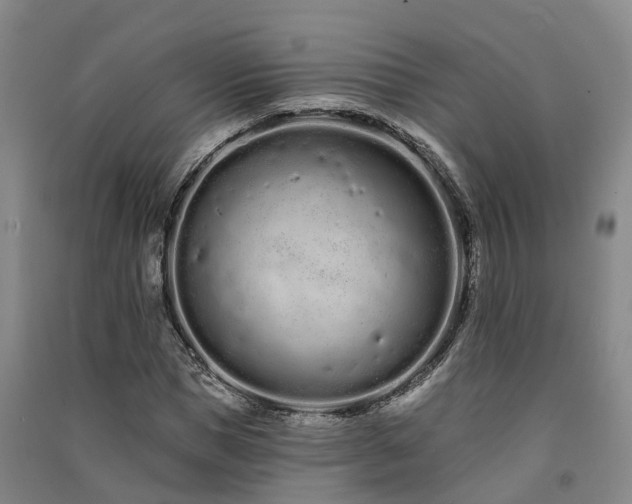 X0000091560921200708171322