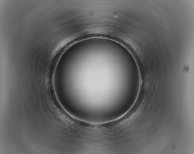 X0000091560922200708171322