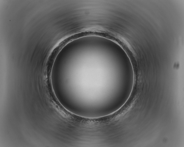 X0000091560923200708171322