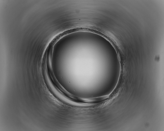 X0000091560924200708171322