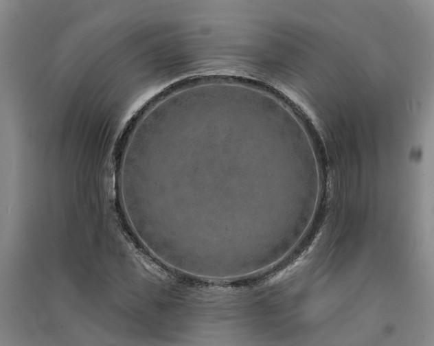 X0000091560925200708171322