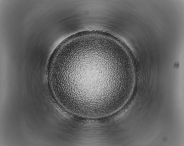 X0000091560927200708171322