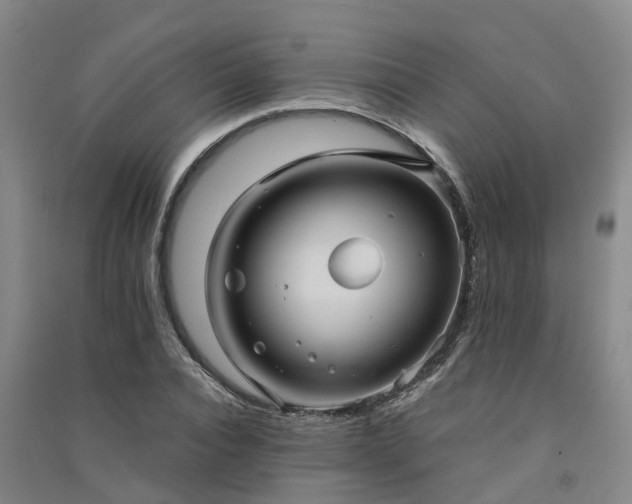 X0000091560928200708171322