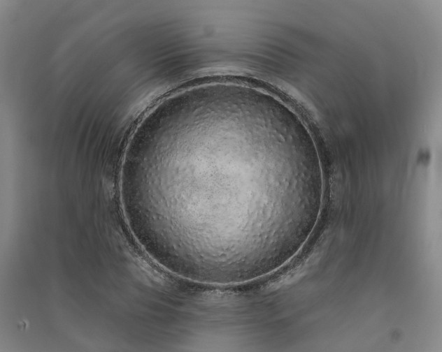 X0000091560929200708171322