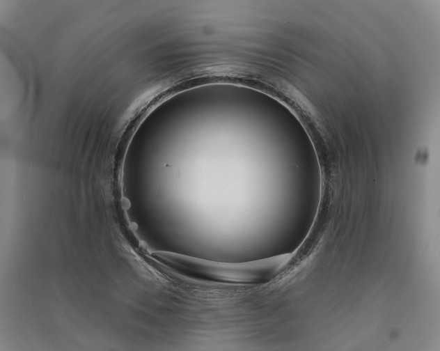 X0000091560930200708171322