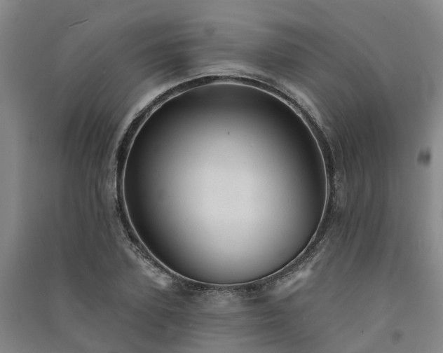 X0000091560931200708171322