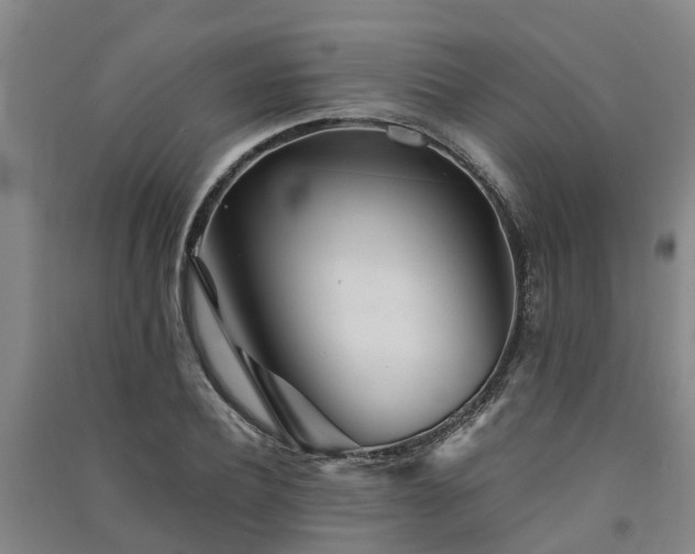 X0000091560932200708171322