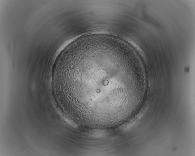 X0000091560933200708171322