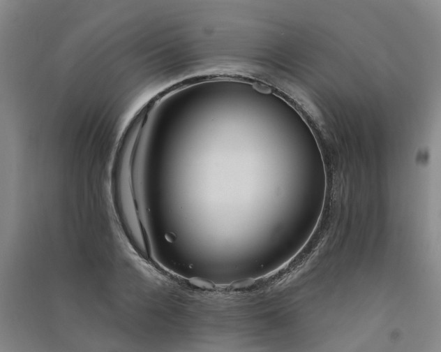 X0000091560936200708171322