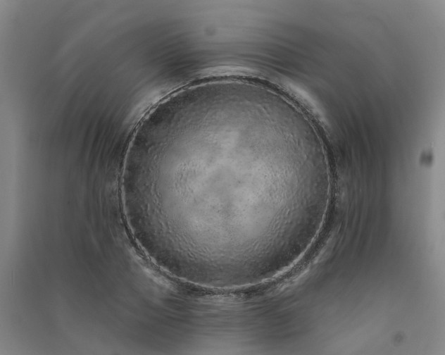 X0000091560937200708171322