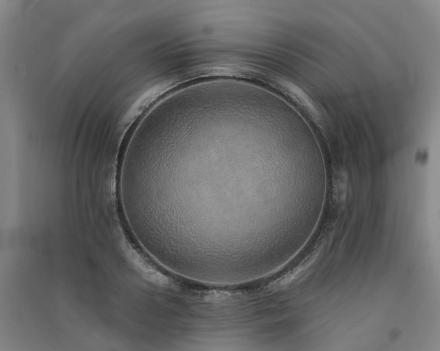 X0000091560938200708171322