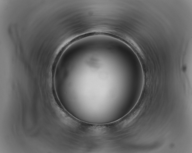 X0000091560939200708171322