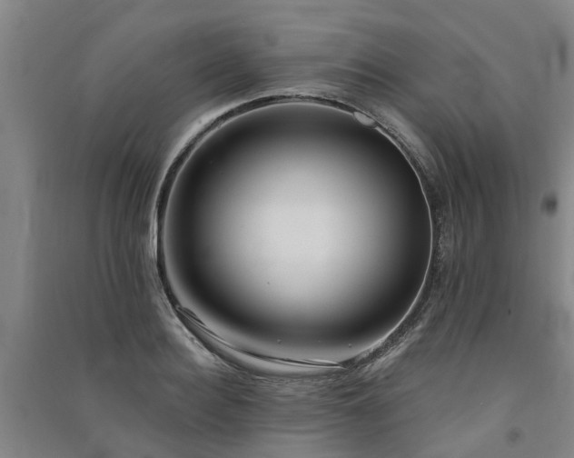 X0000091560940200708171323