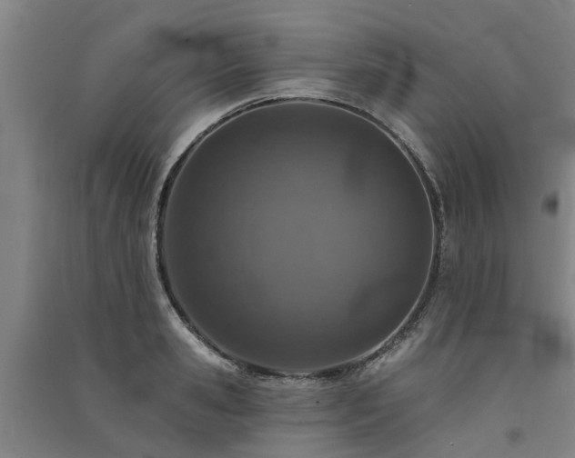 X0000091560941200708171323