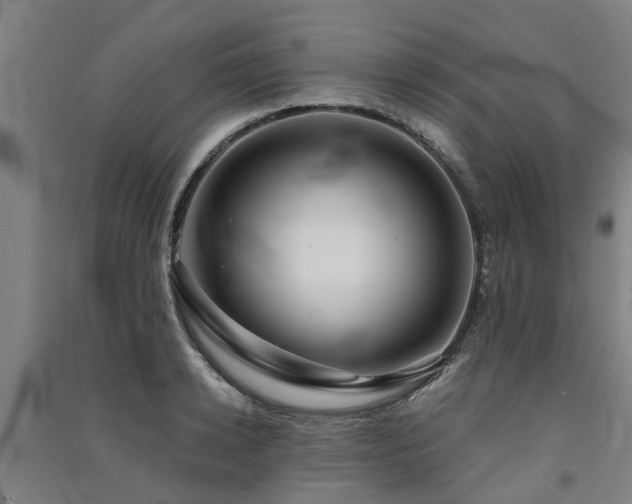 X0000091560942200708171323