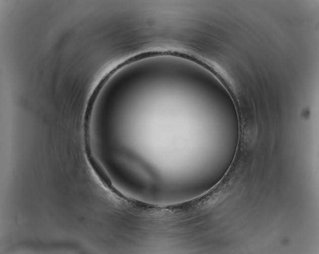 X0000091560943200708171323