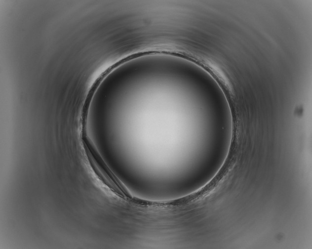 X0000091560944200708171323