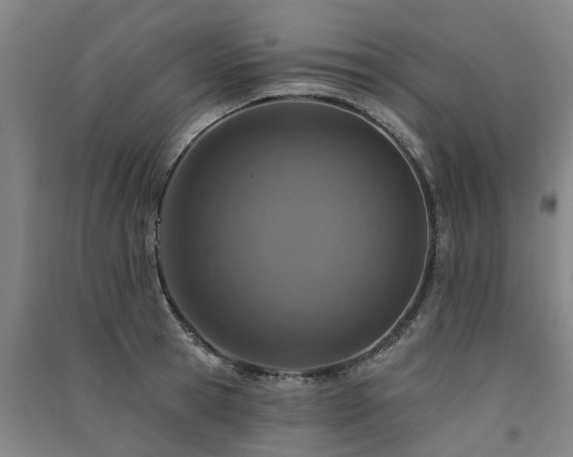 X0000091560945200708171323