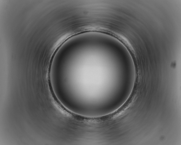 X0000091560946200708171323